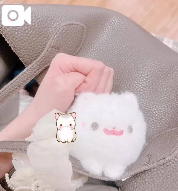 出勤しました🐈