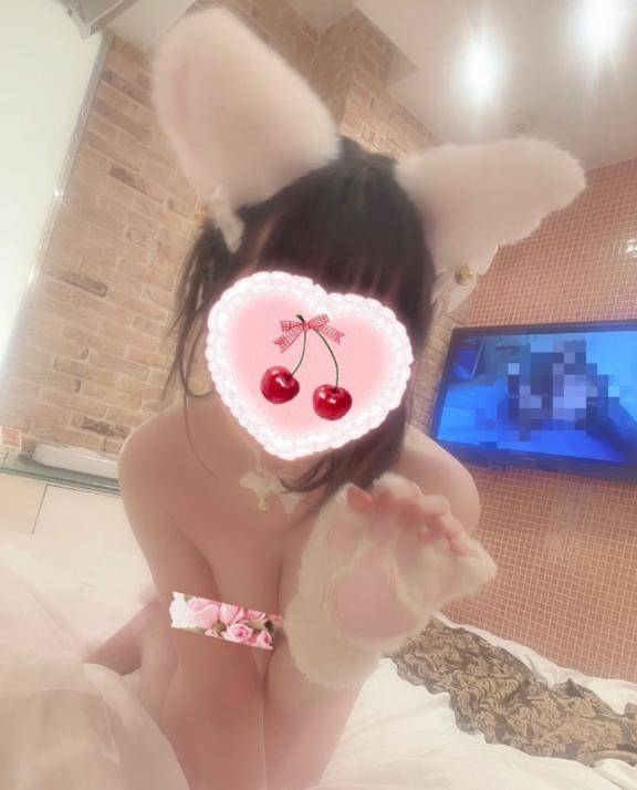 出勤しました🐈