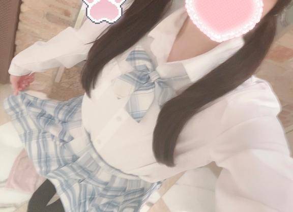 出勤しました🐈