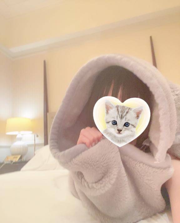 出勤しました🐈