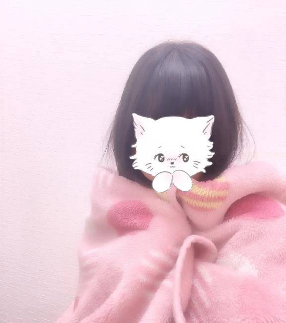 🐱