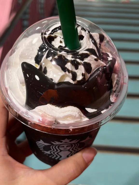 ネコちゃん🐈‍⬛