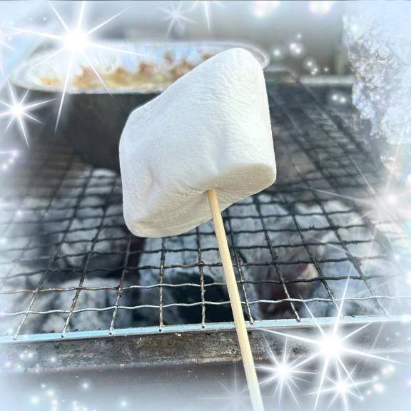 BBQしたよ🍖