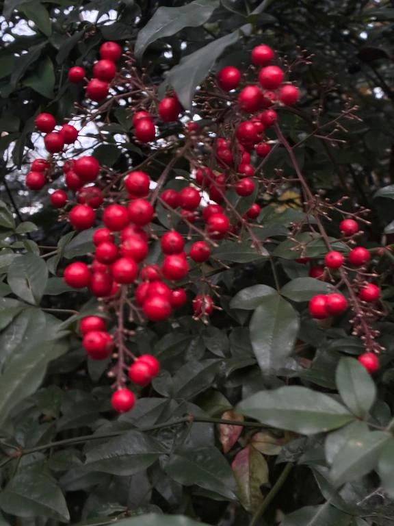 💌本指名M君へ