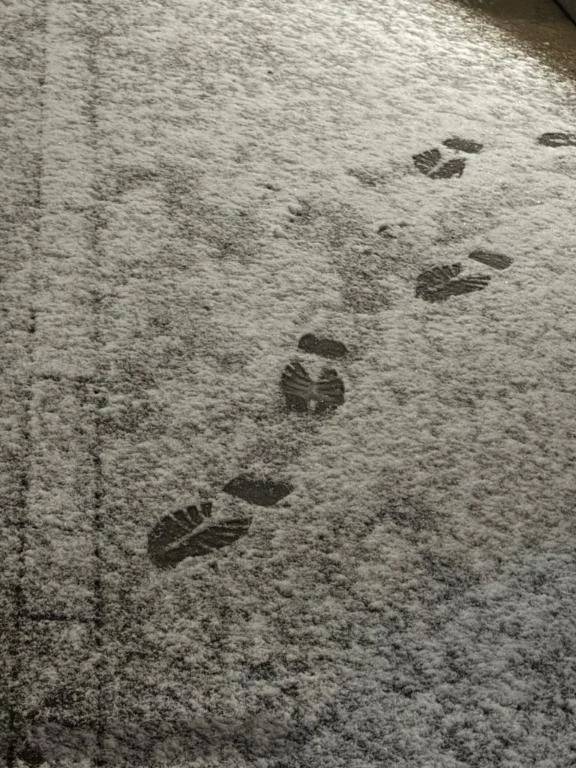 ⛄️⛄️⛄️⛄️