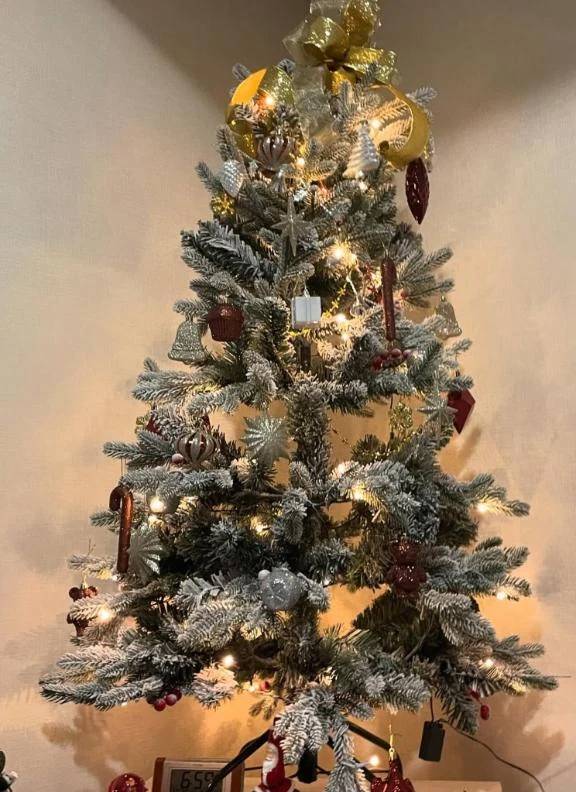 冬が好きなあらんです☃️❄️