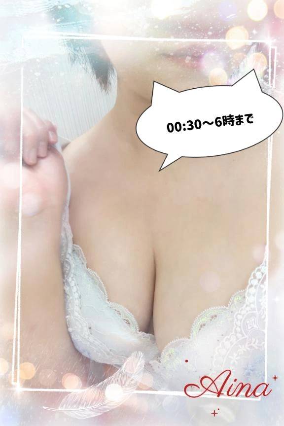 出勤しました🐱