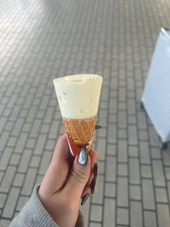 アイスは何派ですかー？？🍨