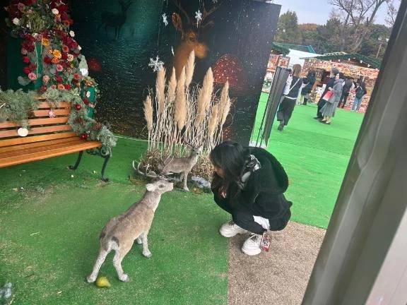 おやすみです！