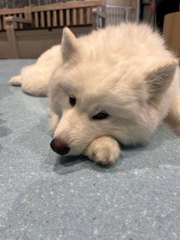 今日はどんな日??