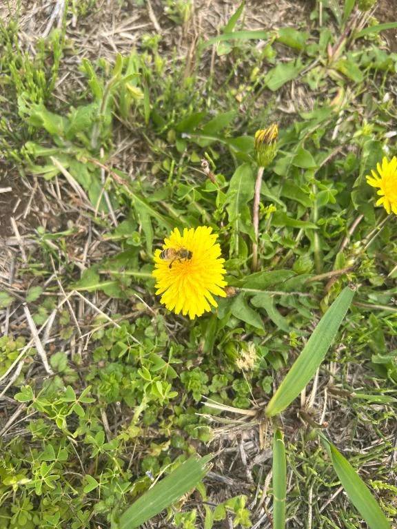 さっきはありがとう！