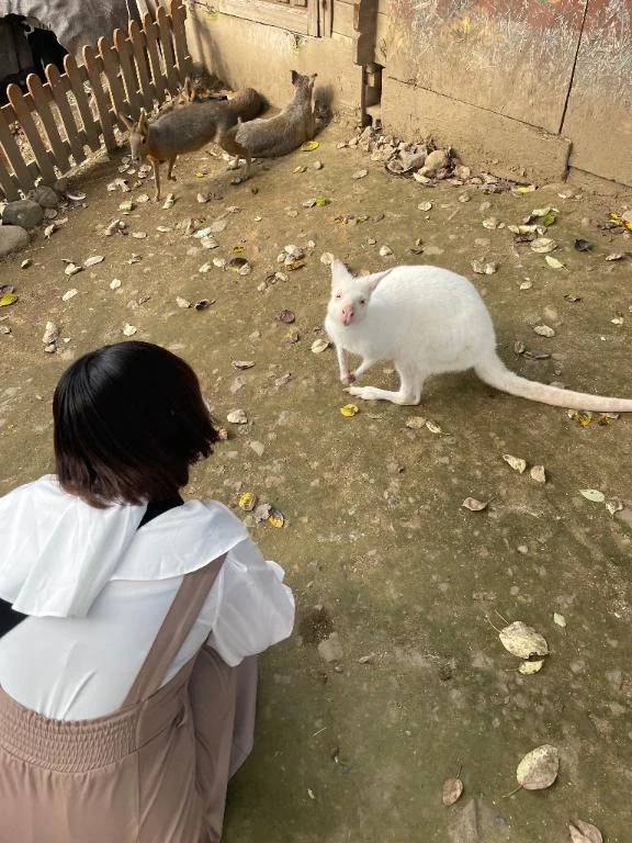 おやすみですが♡