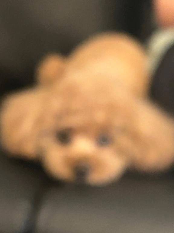 たいきん❕