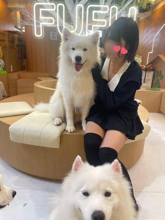 🐶♡