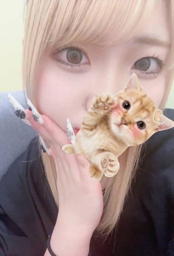 拾ってください😿