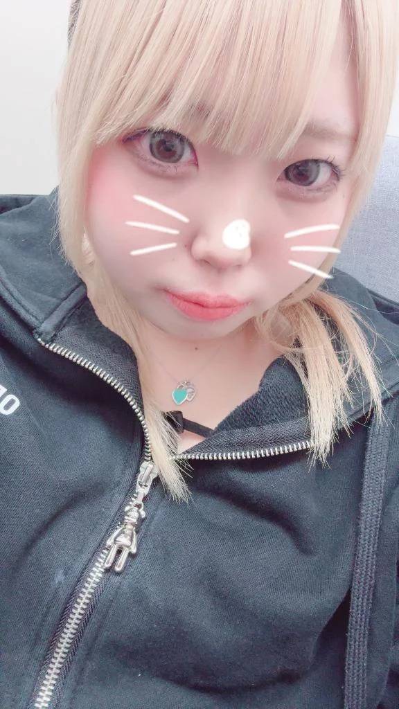 拾ってください😿