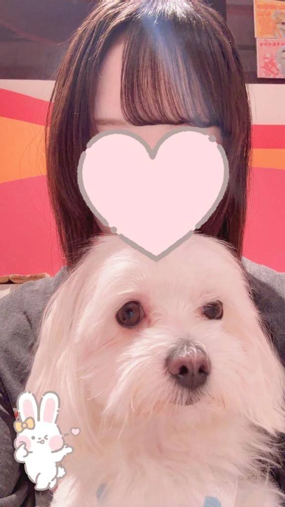 本日~