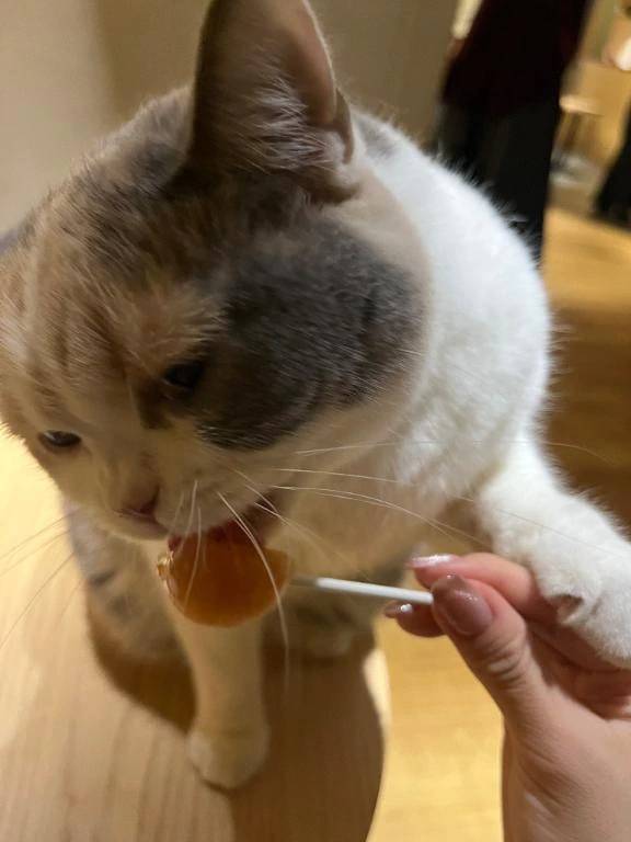 いやし