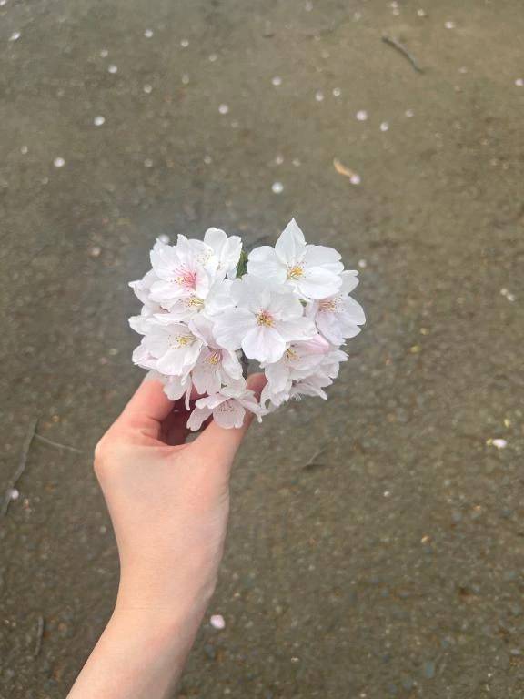 🙌🏻✨