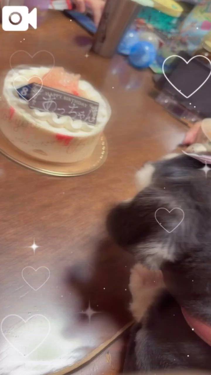 お祝いした🎂
