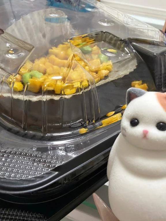 ☀️おはよう☀️