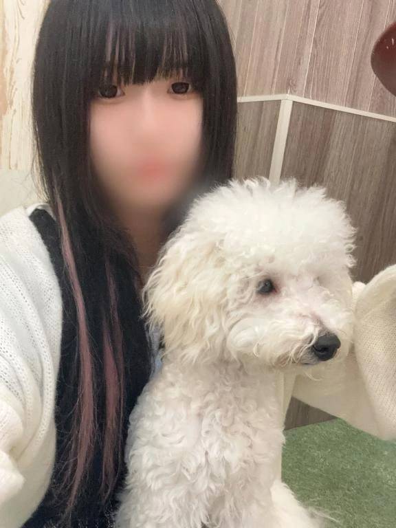 犬カフェいきたーい^^