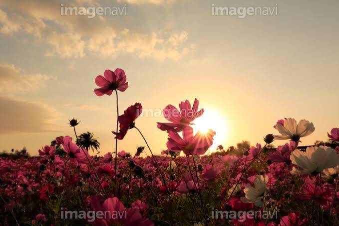 夕日が綺麗🥰