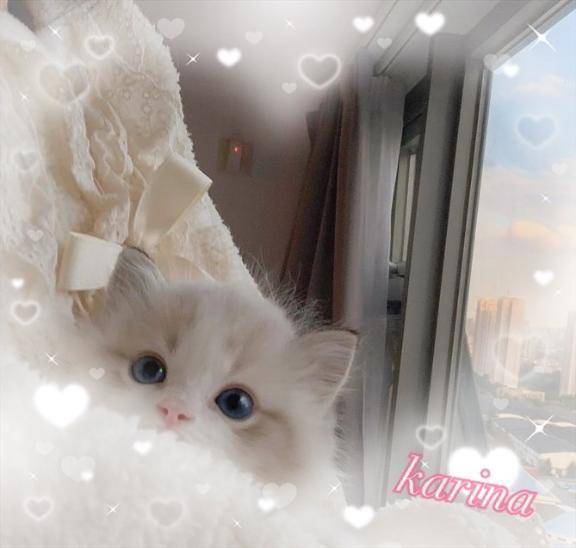 早めがイイ◎！！