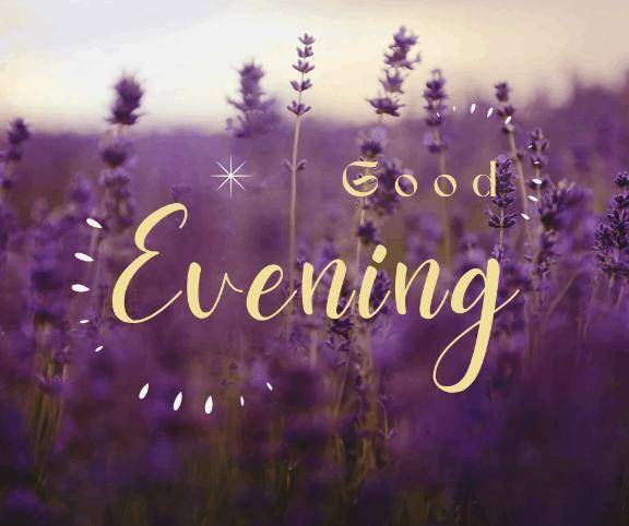 24日参加します