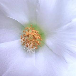 [明日・出勤日]