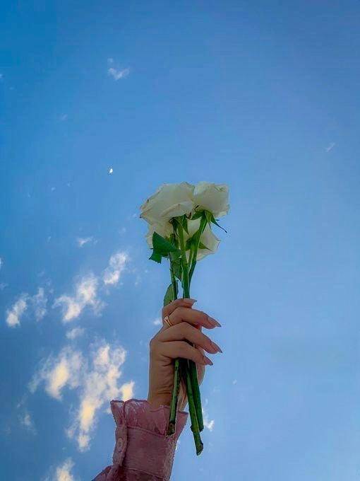 残暑お見舞い申し上げます