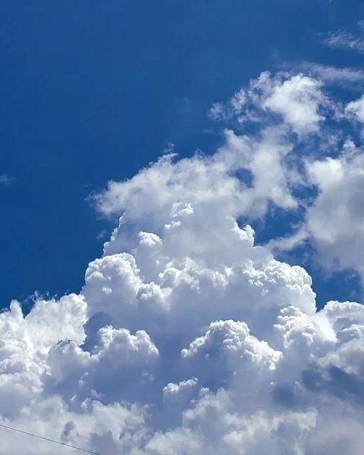 お休み中は何してる?