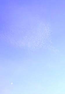 🔆明日・出勤日🔆