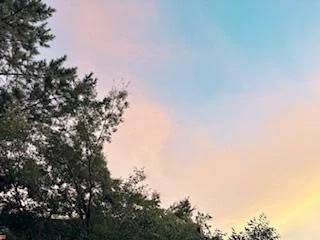 ☀️おはようございます☁️