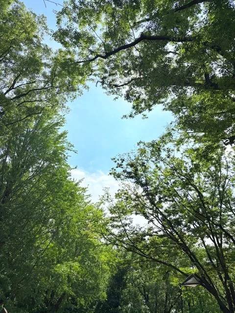 🌕おはようございます🌒