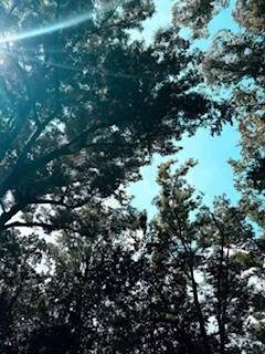 ☁️おはようございます☀️