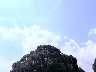 ☀️おはようございます☂️