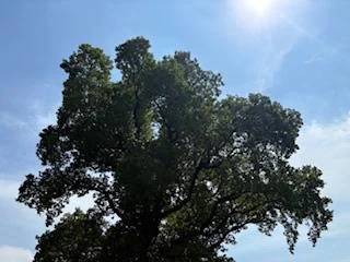[出勤日・空き時間🫧]