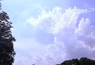 🌦️おはようございます⛅️