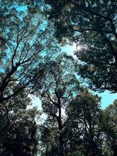 🔅本日・出勤いたします🔅
