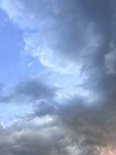 [今日のお礼]