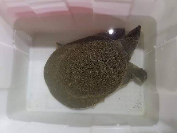 出勤しました