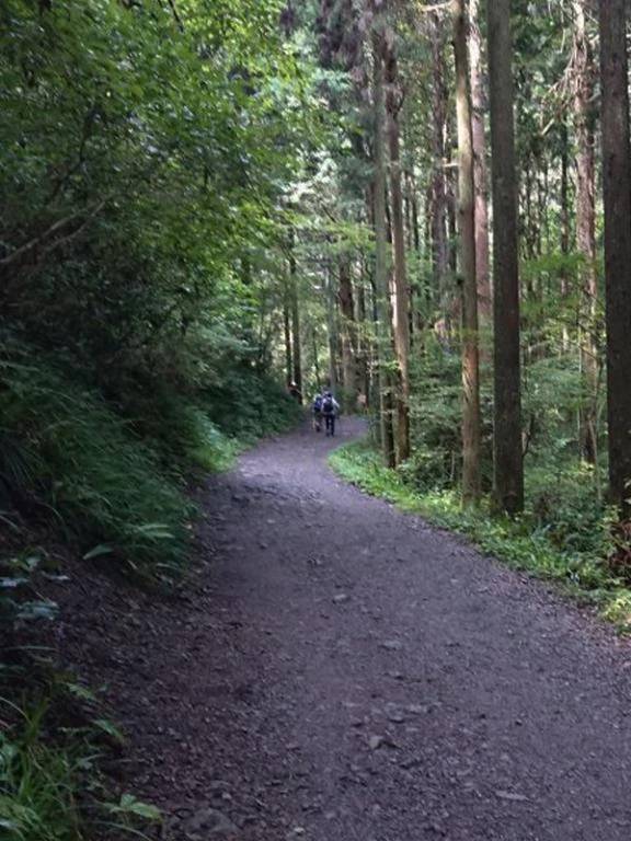私って以外と・・