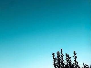 🌤️おはようございます☁️
