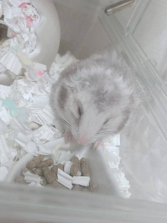 ごめんなさい😢