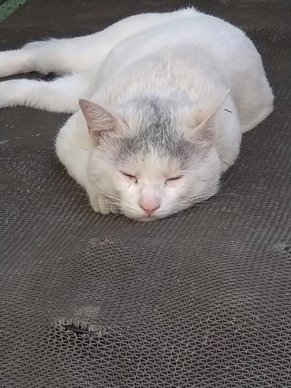 ありがとうございました☺️