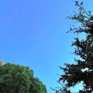 🫧メッセージありがとうございます🫧