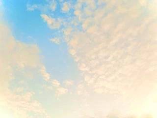 🔅本日出勤日🔅
