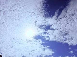 🔆本日出勤日🔆