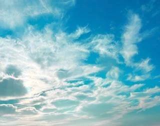 🔅本日出勤日🔅